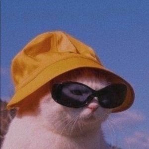 Meet your Posher, Aracelie